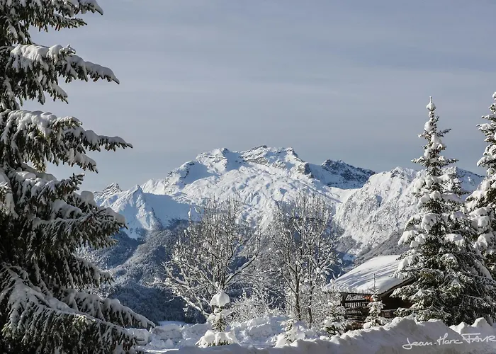 Alpehytte Vardasse Manigod